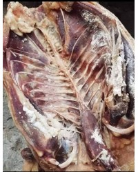 Kars Kazı (2.2-2.5 kg) – Doğal, Lezzetli ve Geleneksel Yöresel Le&hellip;